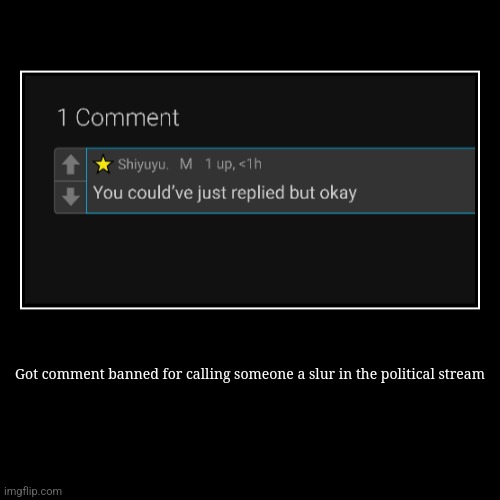 Got comment banned for calling someone a slur in the political stream | | image tagged in funny,demotivationals | made w/ Imgflip demotivational maker