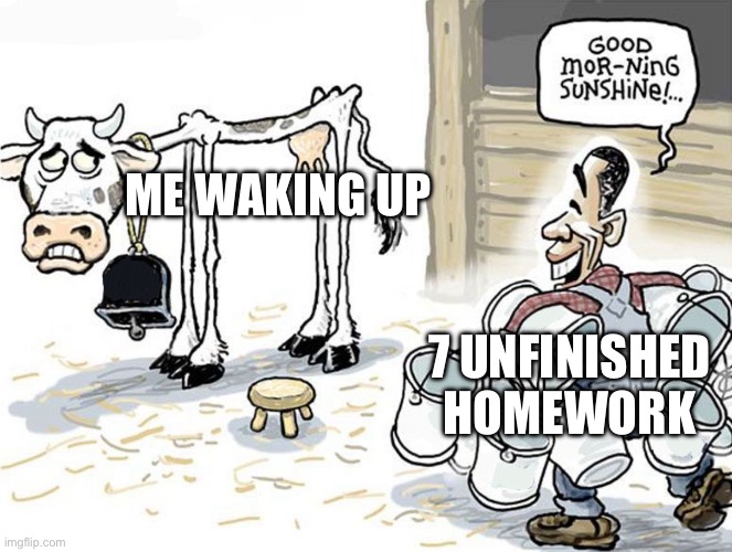 milking the cow | ME WAKING UP; 7 UNFINISHED HOMEWORK | image tagged in milking the cow | made w/ Imgflip meme maker