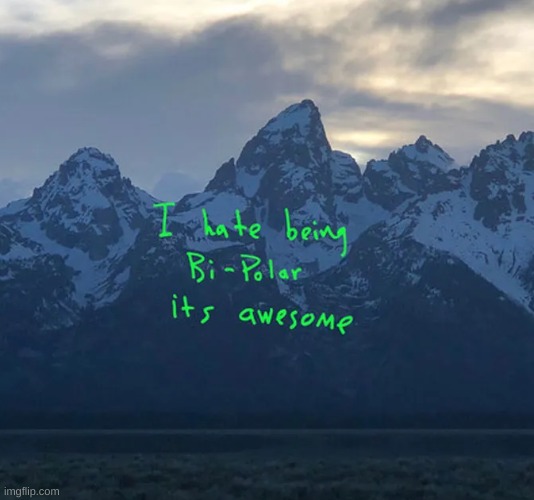 Ye album | image tagged in ye album | made w/ Imgflip meme maker