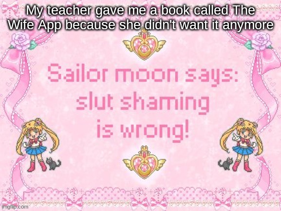 It's pretty good ngl | My teacher gave me a book called The Wife App because she didn't want it anymore | image tagged in sailor moon says | made w/ Imgflip meme maker