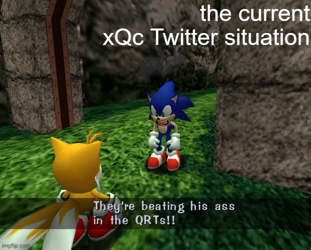 Yes, I'm aware it's X now, get out | the current xQc Twitter situation | image tagged in twitter,x,sonic the hedgehog | made w/ Imgflip meme maker