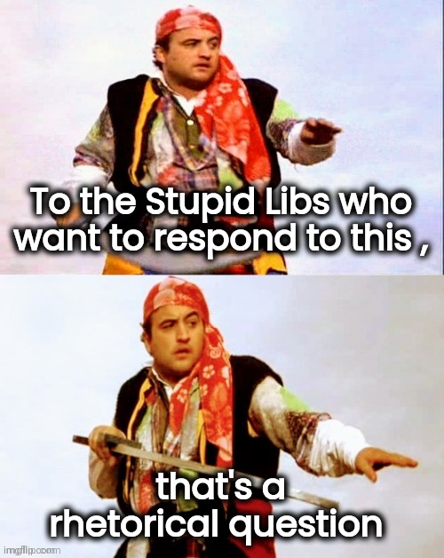 Pirate joke | To the Stupid Libs who want to respond to this , that's a rhetorical question | image tagged in pirate joke | made w/ Imgflip meme maker