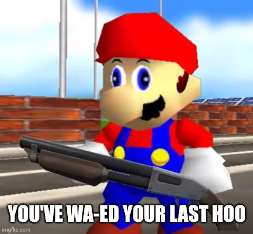 SMG4 Shotgun Mario | YOU'VE WA-ED YOUR LAST HOO | image tagged in smg4 shotgun mario | made w/ Imgflip meme maker