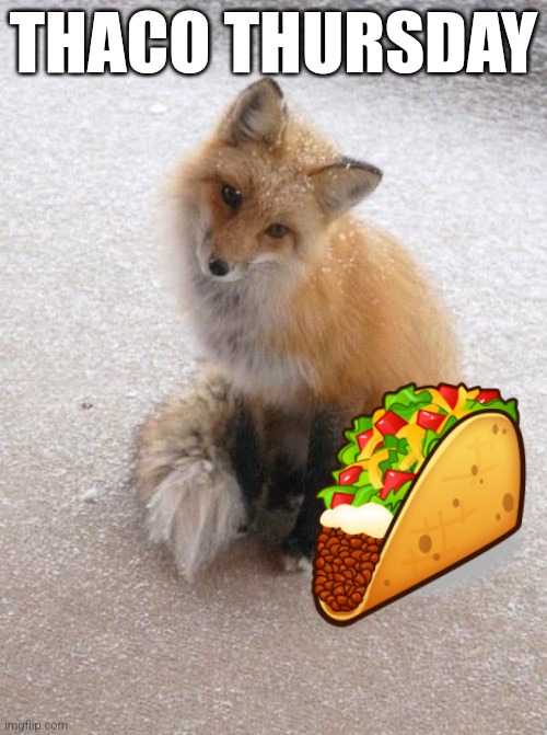 Thaco thursday | THACO THURSDAY | image tagged in fox | made w/ Imgflip meme maker