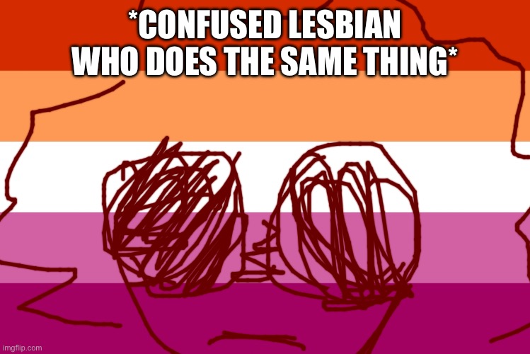 Lesbian flag | *CONFUSED LESBIAN WHO DOES THE SAME THING* | image tagged in lesbian flag | made w/ Imgflip meme maker