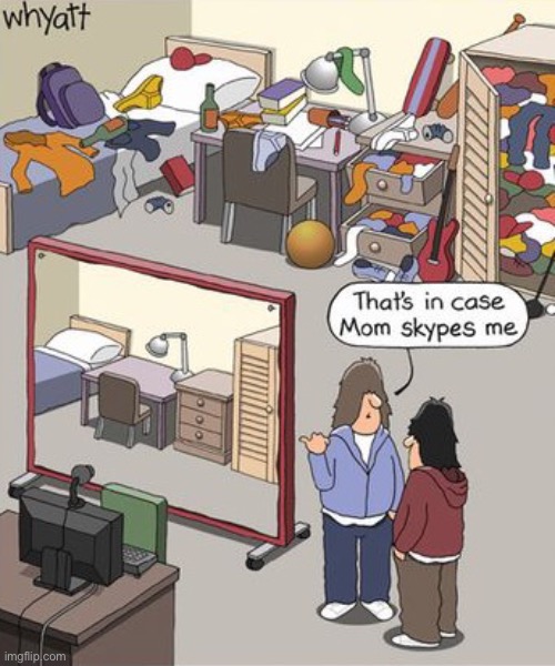 Just in case | image tagged in large mirror,just in case,my mom,skypes me,comics | made w/ Imgflip meme maker