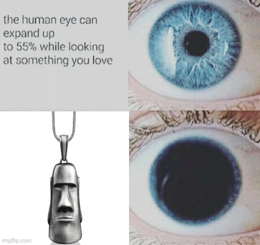 Moai necklace | image tagged in eye pupil expand,moai,necklace,jewelry,memes,silver | made w/ Imgflip meme maker