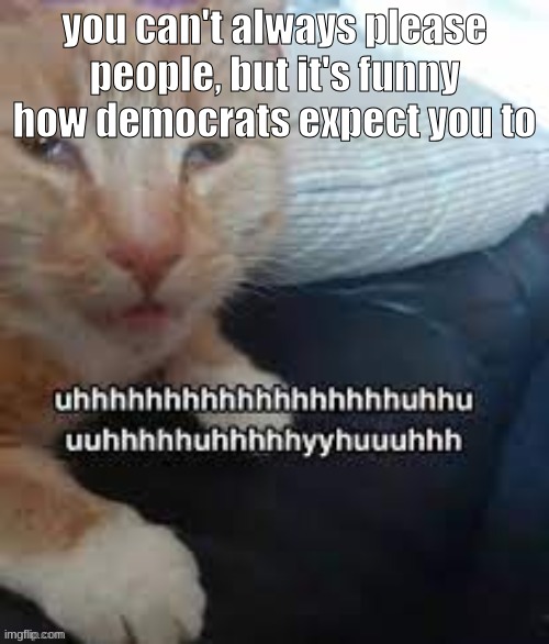 Well, I guess some of them don't think this way. I'd rather please the majority of people than a small percent anyway | you can't always please people, but it's funny how democrats expect you to | image tagged in uhhhhhhhhhhhhhhhhhhhhhhuhhuuhhhhhhh | made w/ Imgflip meme maker