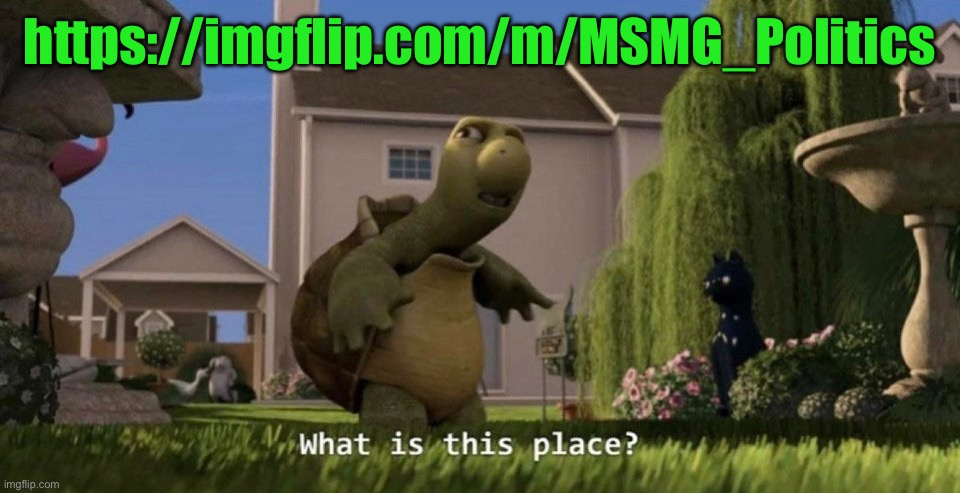 What is this place | https://imgflip.com/m/MSMG_Politics | image tagged in what is this place | made w/ Imgflip meme maker