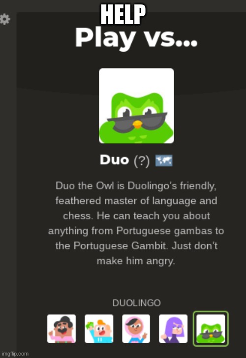Chess.org | HELP | image tagged in duolingo,chess | made w/ Imgflip meme maker