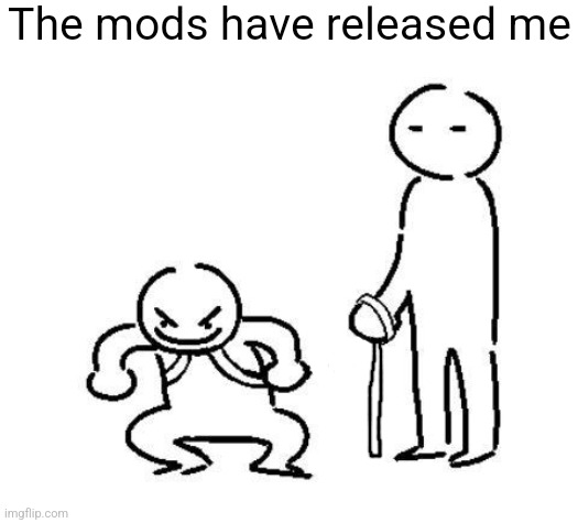 I feel bad for those of you that have to deal with me | The mods have released me | image tagged in hyper and tired | made w/ Imgflip meme maker