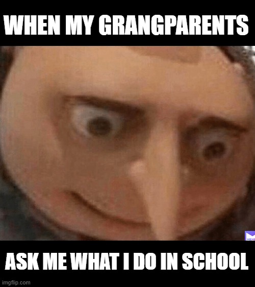 when my grandparents ask me what I do in school | WHEN MY GRANGPARENTS; ASK ME WHAT I DO IN SCHOOL | image tagged in memes | made w/ Imgflip meme maker