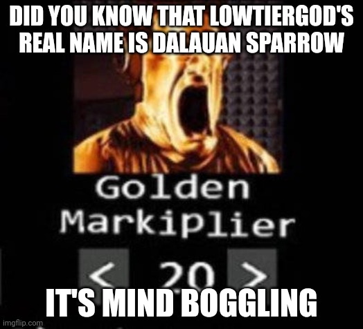 Golden Markiplier | DID YOU KNOW THAT LOWTIERGOD'S REAL NAME IS DALAUAN SPARROW; IT'S MIND BOGGLING | image tagged in golden markiplier | made w/ Imgflip meme maker