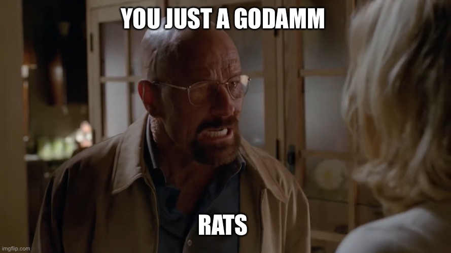 You just a goddam rats | YOU JUST A GODAMM; RATS | image tagged in you rats | made w/ Imgflip meme maker