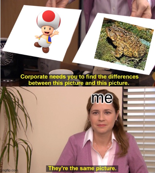 toads | me | image tagged in memes,they're the same picture | made w/ Imgflip meme maker