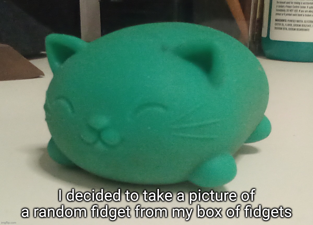 This cat is full of mashed potato | I decided to take a picture of a random fidget from my box of fidgets | image tagged in adhd go brr | made w/ Imgflip meme maker