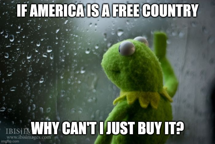 Y tho | IF AMERICA IS A FREE COUNTRY; WHY CAN'T I JUST BUY IT? | image tagged in kermit window | made w/ Imgflip meme maker