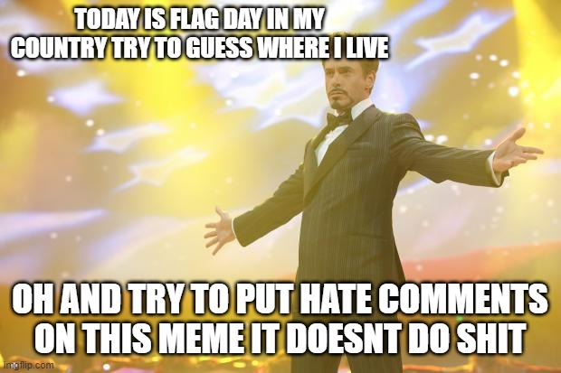 Tony Stark success | TODAY IS FLAG DAY IN MY COUNTRY TRY TO GUESS WHERE I LIVE; OH AND TRY TO PUT HATE COMMENTS ON THIS MEME IT DOESNT DO SHIT | image tagged in tony stark success | made w/ Imgflip meme maker
