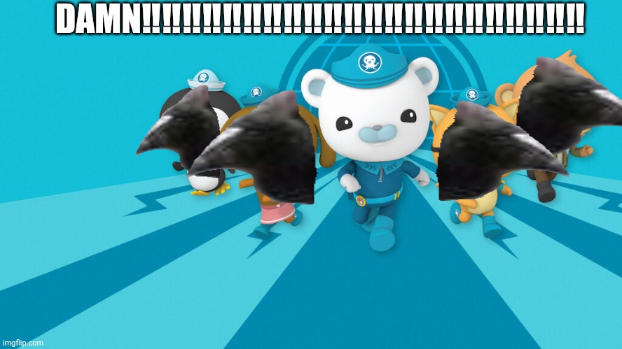 octonauts | DAMN‼️‼️‼️‼️‼️‼️‼️‼️‼️‼️‼️‼️‼️‼️‼️‼️‼️‼️‼️‼️‼️‼️ | image tagged in octonauts | made w/ Imgflip meme maker
