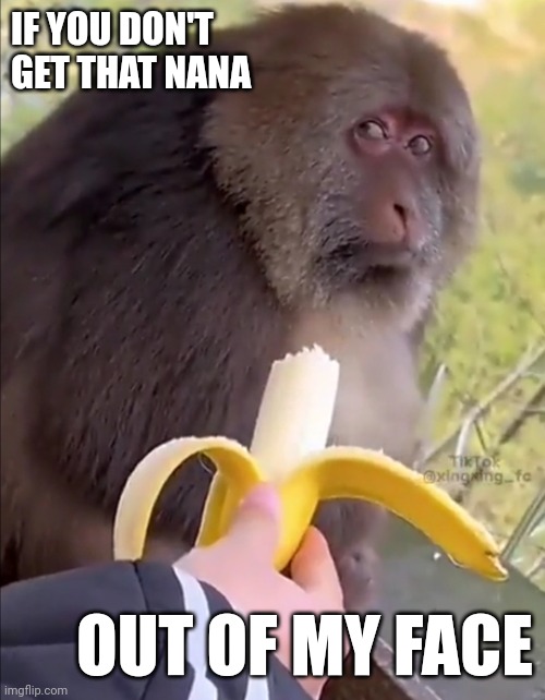 Outa muh face | IF YOU DON'T GET THAT NANA; OUT OF MY FACE | image tagged in fast food,funny memes,animal meme | made w/ Imgflip meme maker