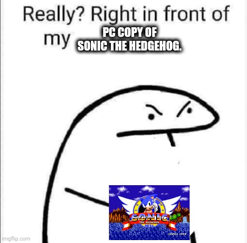 Really, right in front of my | PC COPY OF SONIC THE HEDGEHOG. | image tagged in really right in front of my | made w/ Imgflip meme maker