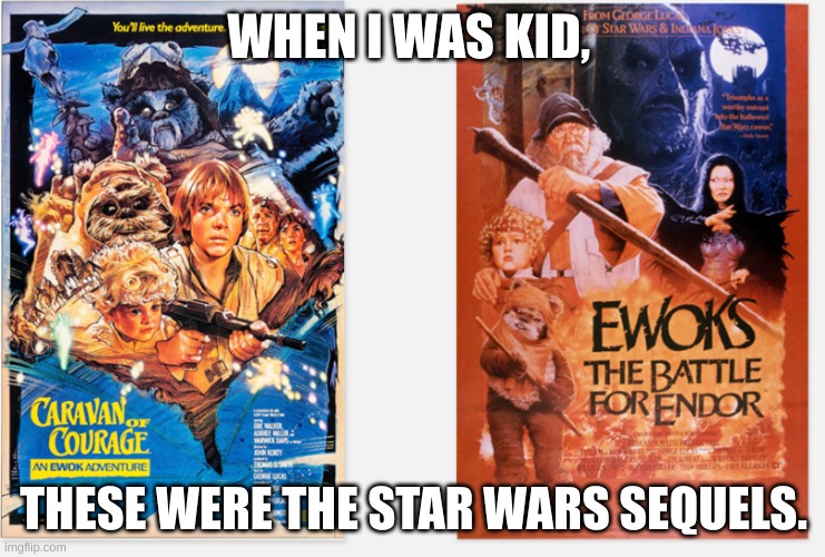 These are the sequles you are looking for | WHEN I WAS KID, THESE WERE THE STAR WARS SEQUELS. | image tagged in ewoks movies | made w/ Imgflip meme maker