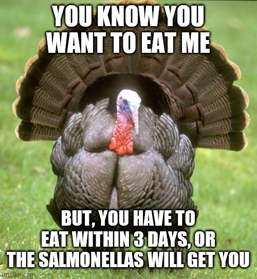 Eat Me | YOU KNOW YOU WANT TO EAT ME; BUT, YOU HAVE TO EAT WITHIN 3 DAYS, OR THE SALMONELLAS WILL GET YOU | image tagged in memes,turkey,before christmas,fruitcake,thanks to god | made w/ Imgflip meme maker