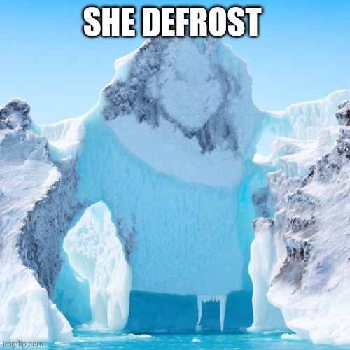 She Defrosts | SHE DEFROST | image tagged in she defrosts | made w/ Imgflip meme maker