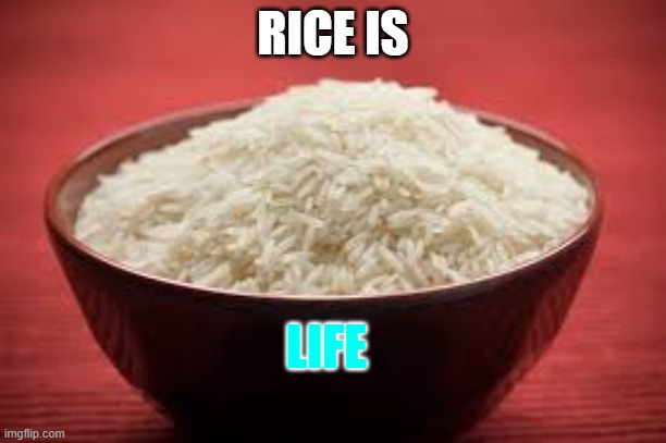 All this rice | RICE IS; LIFE | image tagged in all this rice | made w/ Imgflip meme maker