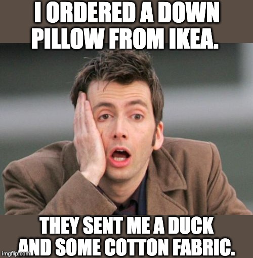 Pillow | I ORDERED A DOWN PILLOW FROM IKEA. THEY SENT ME A DUCK AND SOME COTTON FABRIC. | image tagged in face palm | made w/ Imgflip meme maker
