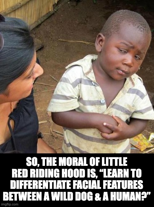 Know the difference | SO, THE MORAL OF LITTLE RED RIDING HOOD IS, “LEARN TO DIFFERENTIATE FACIAL FEATURES BETWEEN A WILD DOG & A HUMAN?” | image tagged in memes,third world skeptical kid | made w/ Imgflip meme maker