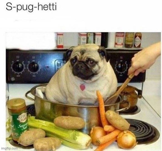 Pug | image tagged in bad pun | made w/ Imgflip meme maker