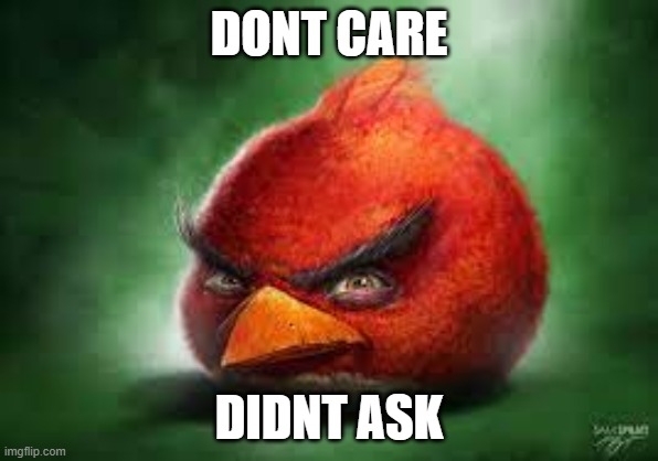 Realistic Red Angry Birds | DONT CARE DIDNT ASK | image tagged in realistic red angry birds | made w/ Imgflip meme maker