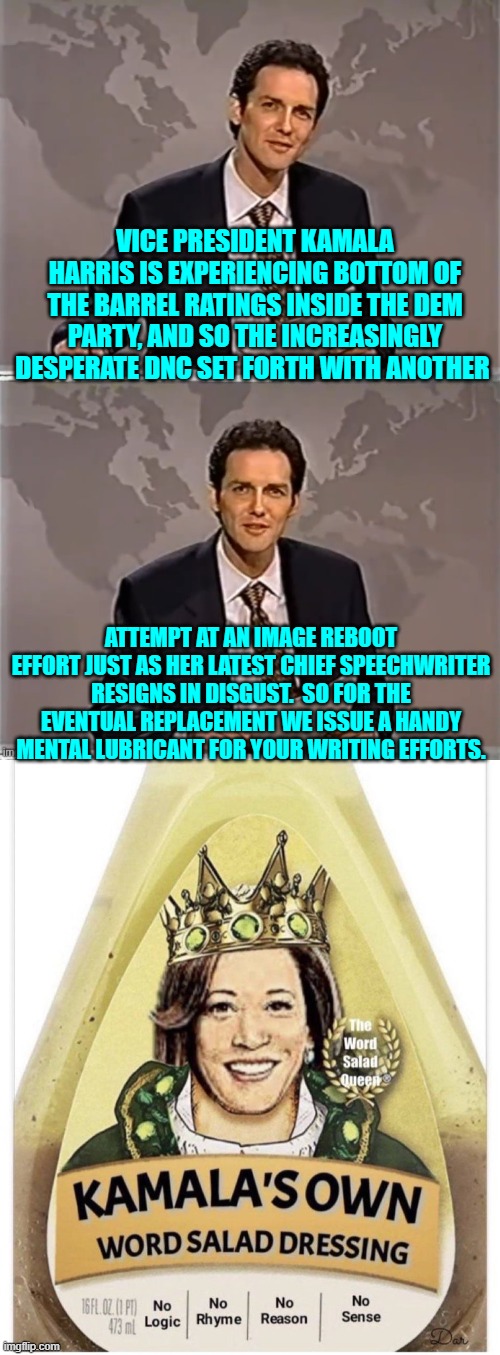 For president the Dems have Dementia Joe Biden or Word-Salad Kamala Harris, or outright psycho Gavin Newsome.  Sheesh! | VICE PRESIDENT KAMALA HARRIS IS EXPERIENCING BOTTOM OF THE BARREL RATINGS INSIDE THE DEM PARTY, AND SO THE INCREASINGLY DESPERATE DNC SET FORTH WITH ANOTHER; ATTEMPT AT AN IMAGE REBOOT EFFORT JUST AS HER LATEST CHIEF SPEECHWRITER RESIGNS IN DISGUST.  SO FOR THE EVENTUAL REPLACEMENT WE ISSUE A HANDY MENTAL LUBRICANT FOR YOUR WRITING EFFORTS. | image tagged in weekend update with norm | made w/ Imgflip meme maker