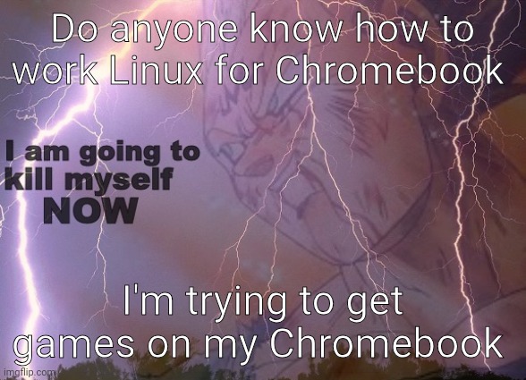 My personal one and bye for now | Do anyone know how to work Linux for Chromebook; I'm trying to get games on my Chromebook | image tagged in i am going to kill myself | made w/ Imgflip meme maker