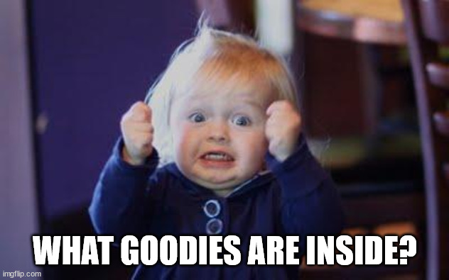 excited kid | WHAT GOODIES ARE INSIDE? | image tagged in excited kid | made w/ Imgflip meme maker