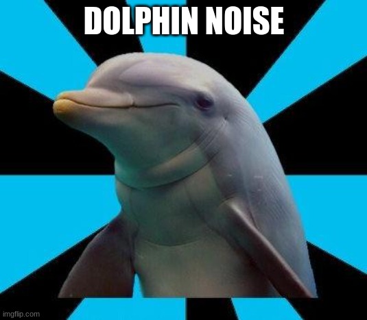 Dolphin | DOLPHIN NOISE | image tagged in dolphin | made w/ Imgflip meme maker