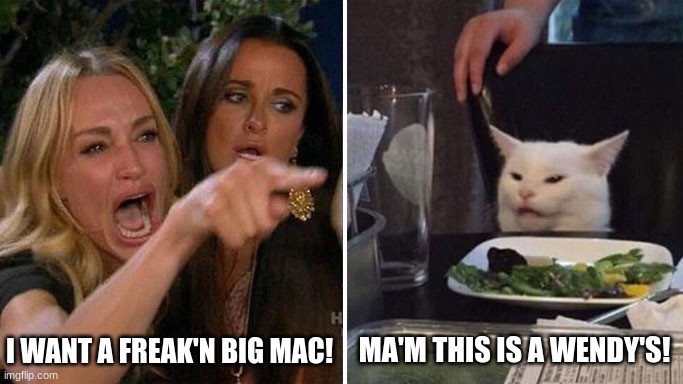 Angry lady cat | I WANT A FREAK'N BIG MAC! MA'M THIS IS A WENDY'S! | image tagged in angry lady cat | made w/ Imgflip meme maker