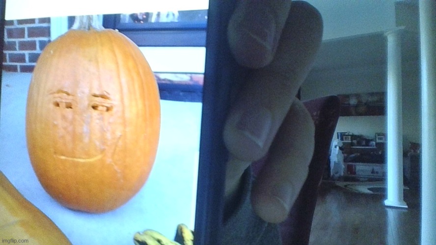 my pumpkin, yes this is real | made w/ Imgflip meme maker