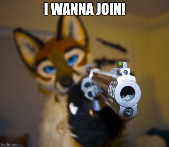 Furry with gun | I WANNA JOIN! | image tagged in furry with gun | made w/ Imgflip meme maker