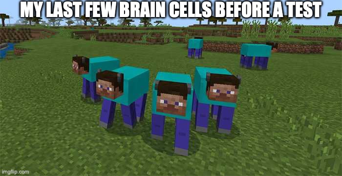 last brain cells | MY LAST FEW BRAIN CELLS BEFORE A TEST | image tagged in me and the boys,last brain cells,test,brain cells,minecraft,minecraft steve | made w/ Imgflip meme maker