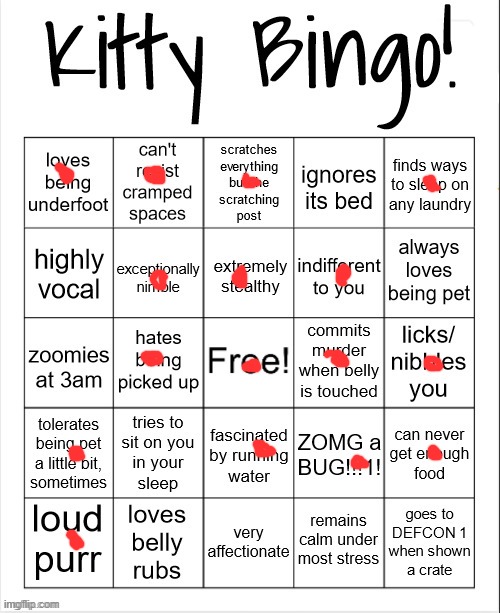Kitty Bingo | image tagged in kitty bingo | made w/ Imgflip meme maker