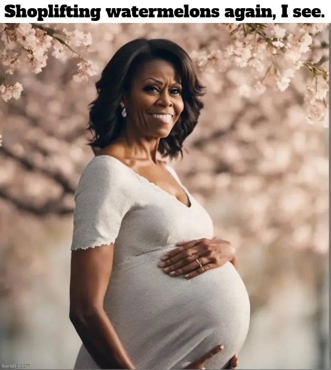 Chewbacca Pregnant? | image tagged in michelle obama,chewbacca,tired of hearing about transgenders,pregnant,i know right | made w/ Imgflip meme maker
