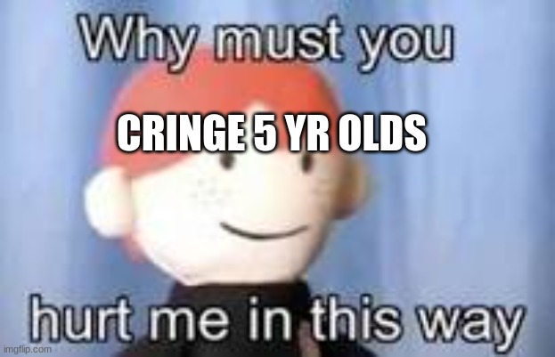 Why must you hurt me in this way | CRINGE 5 YR OLDS | image tagged in why must you hurt me in this way | made w/ Imgflip meme maker