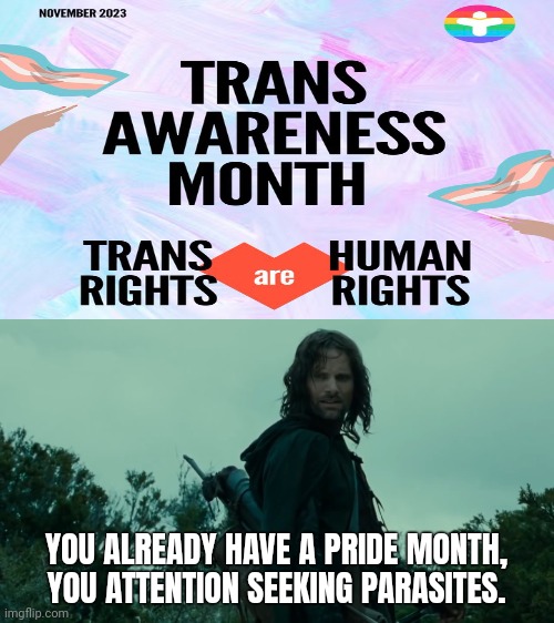 November is Veterans month. | YOU ALREADY HAVE A PRIDE MONTH, YOU ATTENTION SEEKING PARASITES. | image tagged in you already have a | made w/ Imgflip meme maker