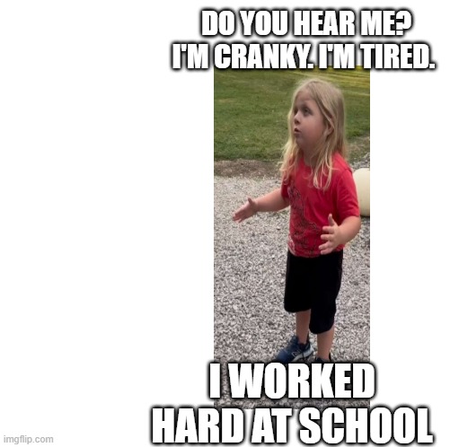 Cranky and Tired | DO YOU HEAR ME? I'M CRANKY. I'M TIRED. I WORKED HARD AT SCHOOL | image tagged in make your own meme | made w/ Imgflip meme maker