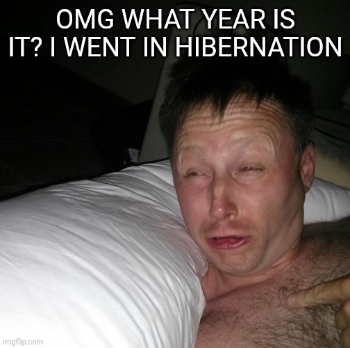 If you remember me good deal | OMG WHAT YEAR IS IT? I WENT IN HIBERNATION | image tagged in limmy waking up | made w/ Imgflip meme maker