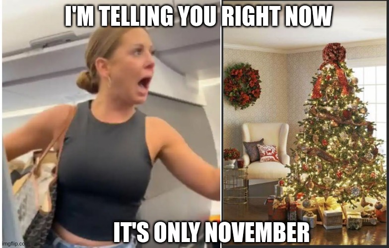 IT IS ONLY NOVEMBER | I'M TELLING YOU RIGHT NOW; IT'S ONLY NOVEMBER | image tagged in christmas,plane lady,tree | made w/ Imgflip meme maker