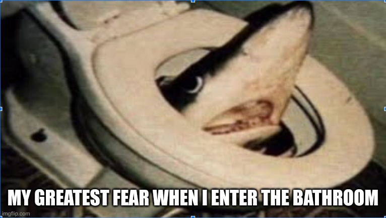 scary af | MY GREATEST FEAR WHEN I ENTER THE BATHROOM | image tagged in shark,bathroom,fear | made w/ Imgflip meme maker