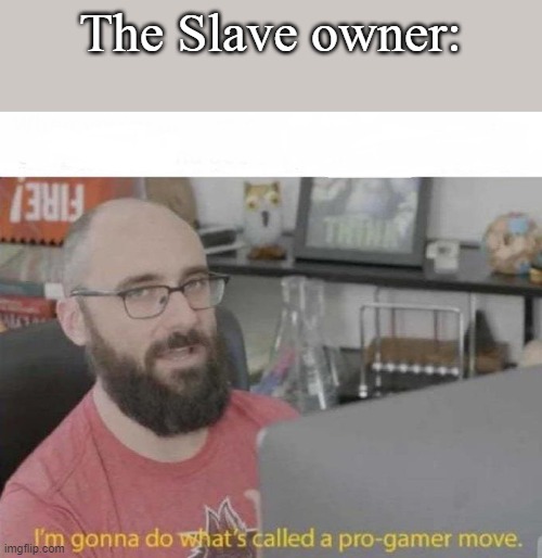 Pro Gamer move | The Slave owner: | image tagged in pro gamer move | made w/ Imgflip meme maker